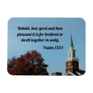 Psalm 133:1 Behold, how good and how pleasant  Magnet