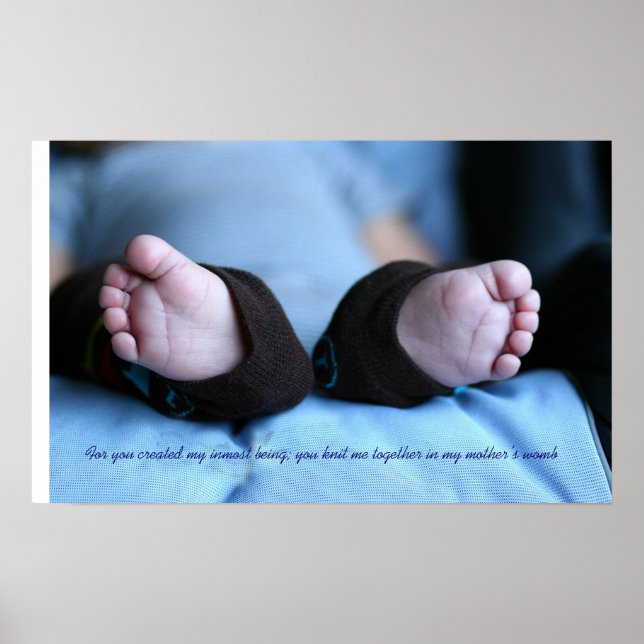 Psalm 139:13 poster (Front)