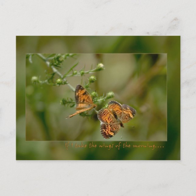 Psalm 139:9 -10 If I rise on the wings of morning Postcard (Front)