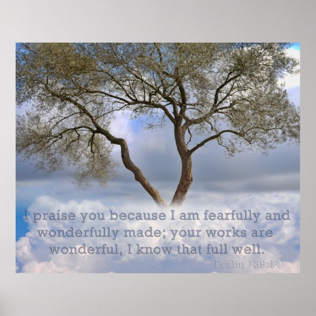 Psalm 139: I am fearfully and wonderfully created Poster (Front)