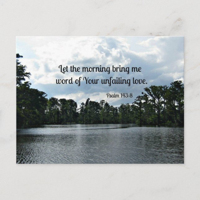 Psalm 143:8 Let the morning bring me word.... Postcard (Front)