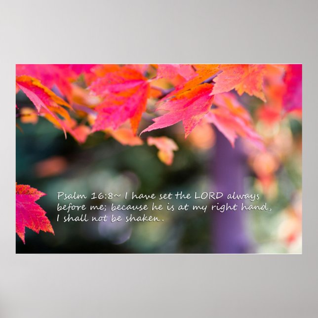 Psalm 16:8 on Fall leaves Poster (Front)