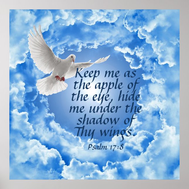 Psalm 17:8  poster (Front)