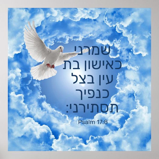 Psalm 17:8  poster (Front)