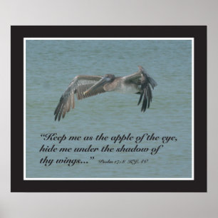 Psalm 17:8 Scripture Print