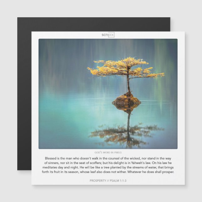 Psalm 1:1-3 PROSPERITY SCRIPIX magnetic card (Front/Back)
