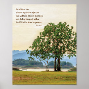 Psalm 1: 3 bible verse scripture art gifts poster