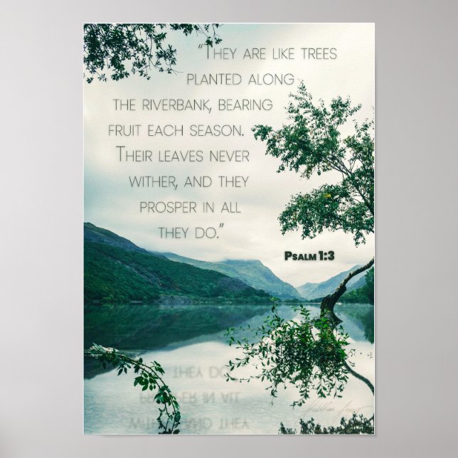 Psalm 1:3 poster (Front)