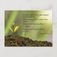 Psalm 1 - And he shall be like a tree ....