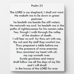 Psalm 23 8x10 Tabletop Photo Plaque