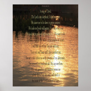 Psalm 23 A song for David Poster