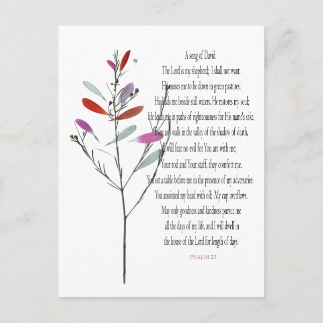 Psalm 23, Green Plant Floral Postcard of David (Front)