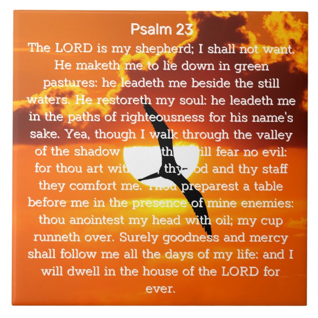 Psalm 23 Orange Sunset Seagull Ceramic Tile (Front)