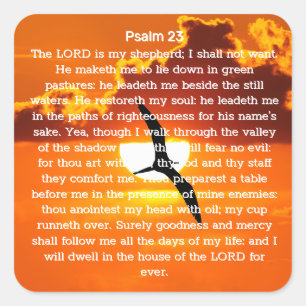 Psalm 23 Orange Sunset Seagull Square Sticker