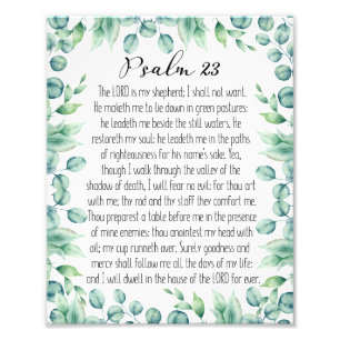 Psalm 23 The Lord Is My Shepherd, Eucalyptus Photo Print