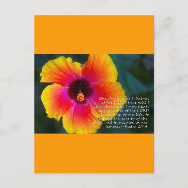Psalm 27:4 postcard (Front)