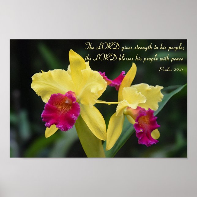 Psalm 29:11 Christian Bible Verse Scripture Poster (Front)