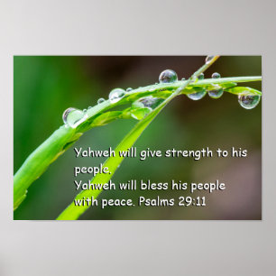 Psalm 29:11 poster