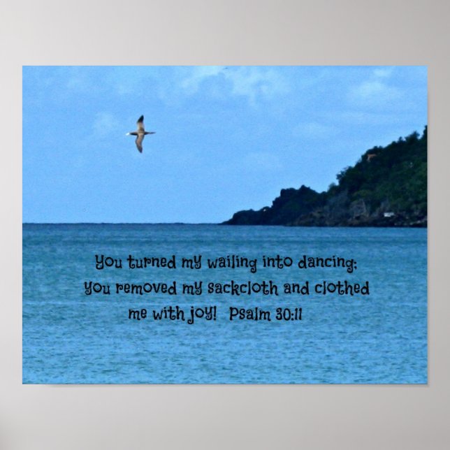 Psalm 30:11 poster (Front)