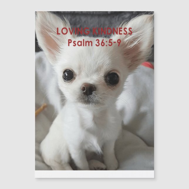 Psalm 36 Chihuahua Invitations (Front)