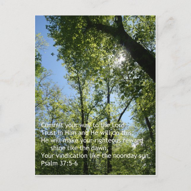 Psalm 37:5-6 postcard (Front)