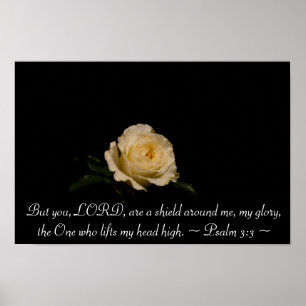 Psalm 3:3 poster