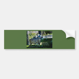 Psalm 42:1 and Deer Bumper Sticker