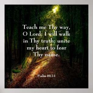 Psalm 86:11  poster