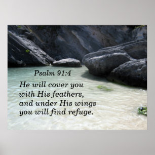 Psalm 91:4 He will cover you with His feathers Poster