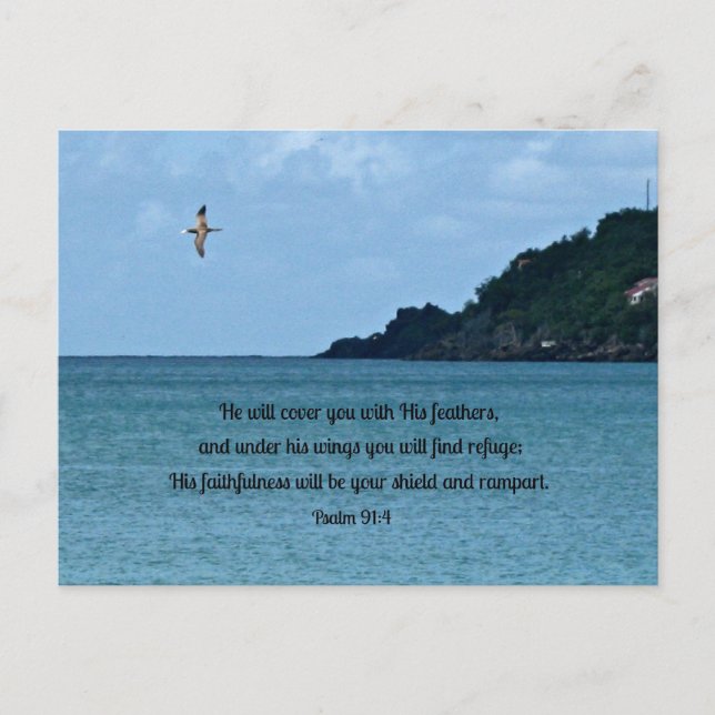 Psalm 91:4 postcard (Front)