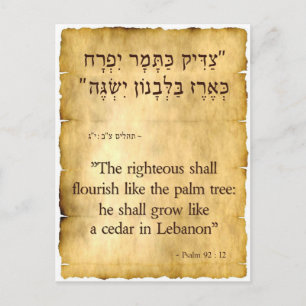 Psalm 92:12 Hebrew and English Postcard
