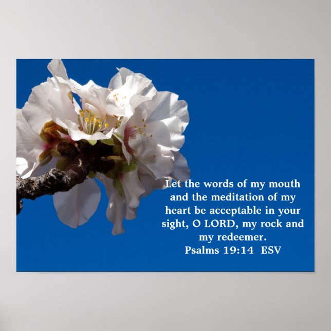 Psalms 19:14 poster (Front)