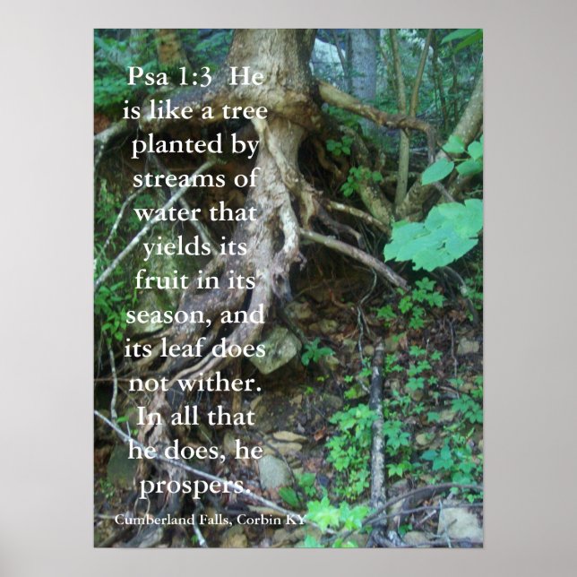Psalms 1:3 poster (Front)