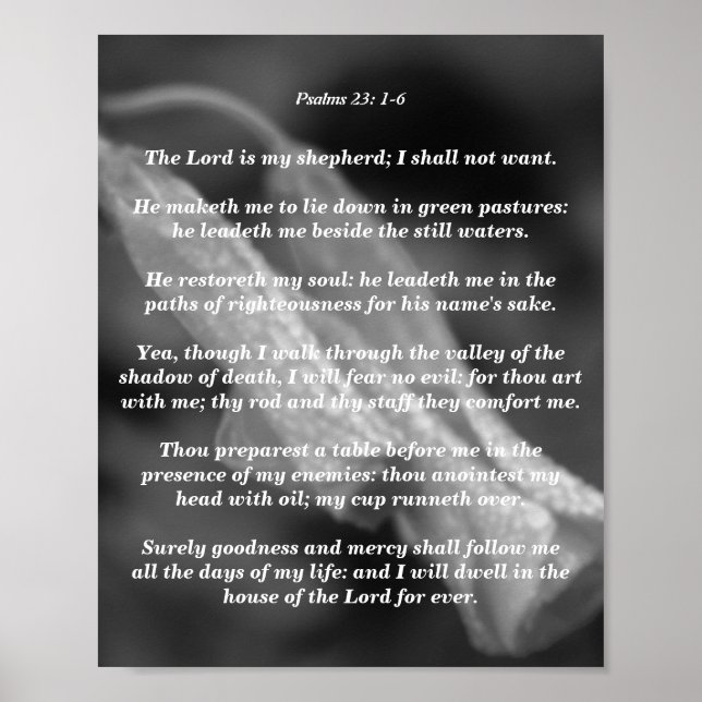 Psalms 23: 1-6 poster (Front)