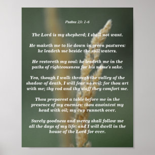Psalms 23: 1-6 poster