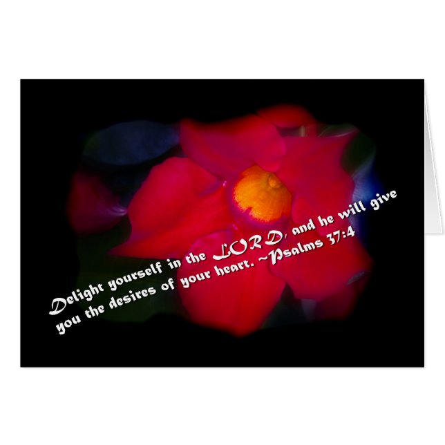 Psalms 37:4 on Black (Front Horizontal)