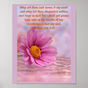Psalms 43 v5 faith, uplifting inspirational   poster