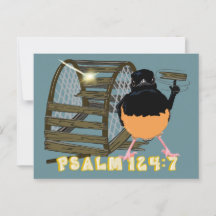 Psalms—White Rumped Shama