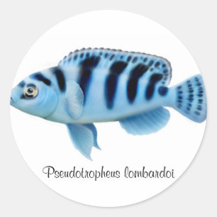 Pseudotropheus lombardoi African Cichlid Sticker