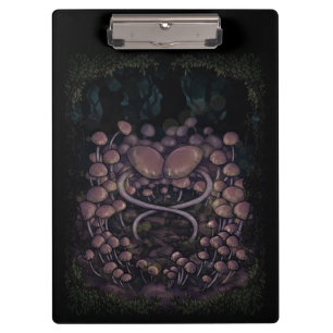 Psilocybe Allenii Clipboard