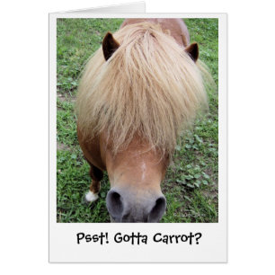 Psst! Gotta Carrot?