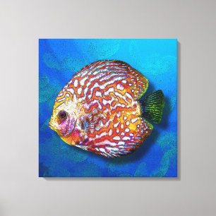 Psychedelic Colourful Exotic Discus Fish Drawing Canvas Print