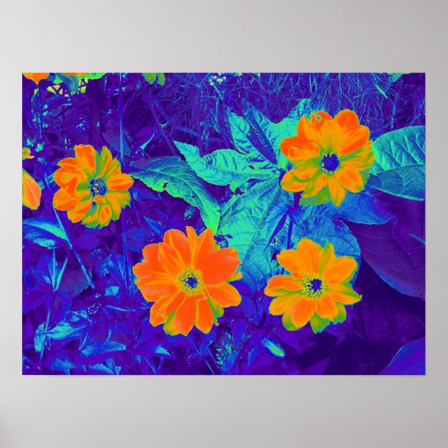 Psychedelic Flower Bed 02 Poster (Front)