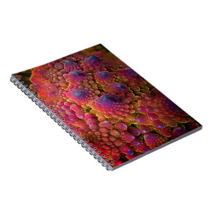 Psychedelic Fractal Abstract Notebook