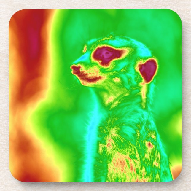 Psychedelic Meerkat Coaster (Front)