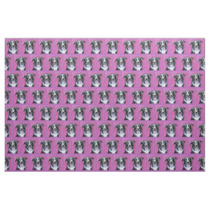 Psychedelic Moon Dog Border Collie Fabric