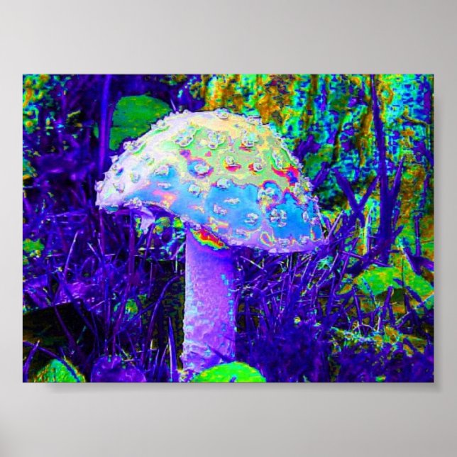 psychedelic mushroom poster (Front)
