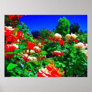 Psychedelic Rose Garden Poster