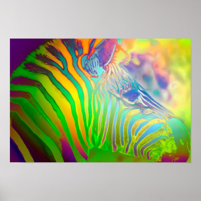Psychedelic Wild Life Zebra Poster (Front)