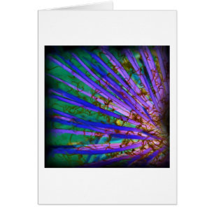 Psychedelic Yucca Inverted